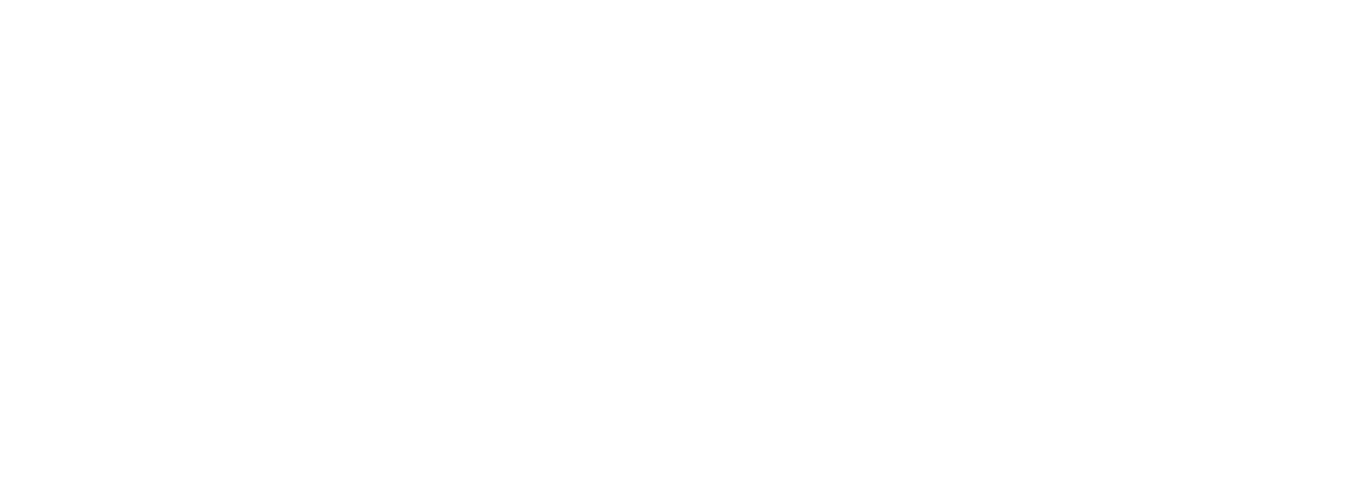 Champion Tie-Dye Hoodie